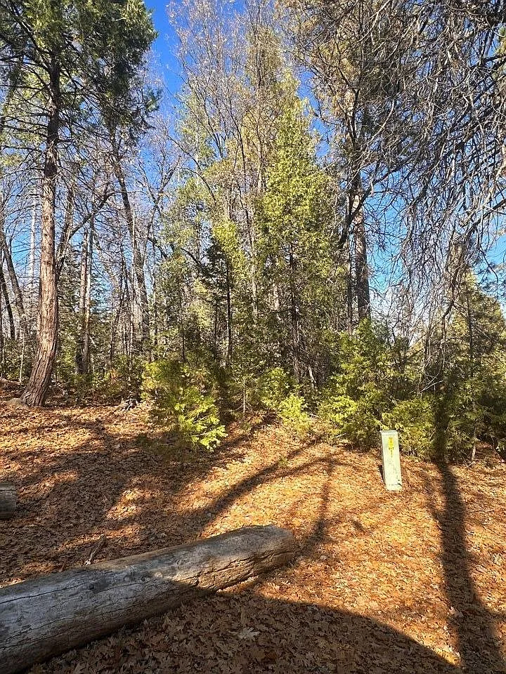 7121 Hites Cove Rd photo 1