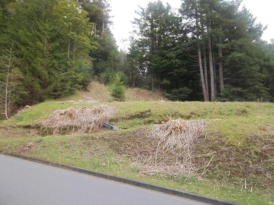 2nd image of 4001 Forest Hills Dr