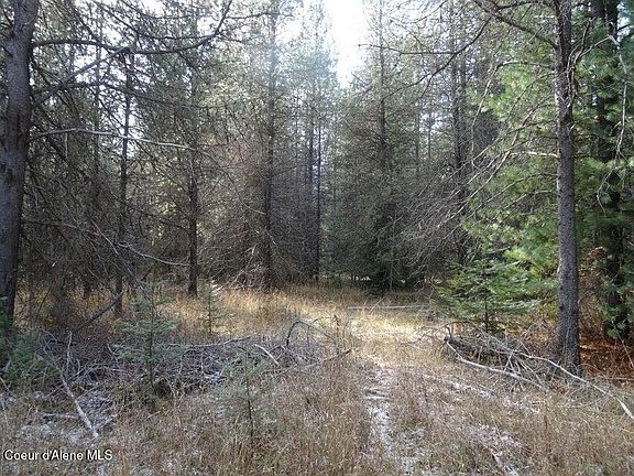 5th image of Nna Jasper Meadow Ln #4951A