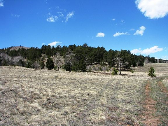 North view to NF access