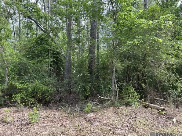 Tbd Church Of God Rd, Springfield, LA 70462