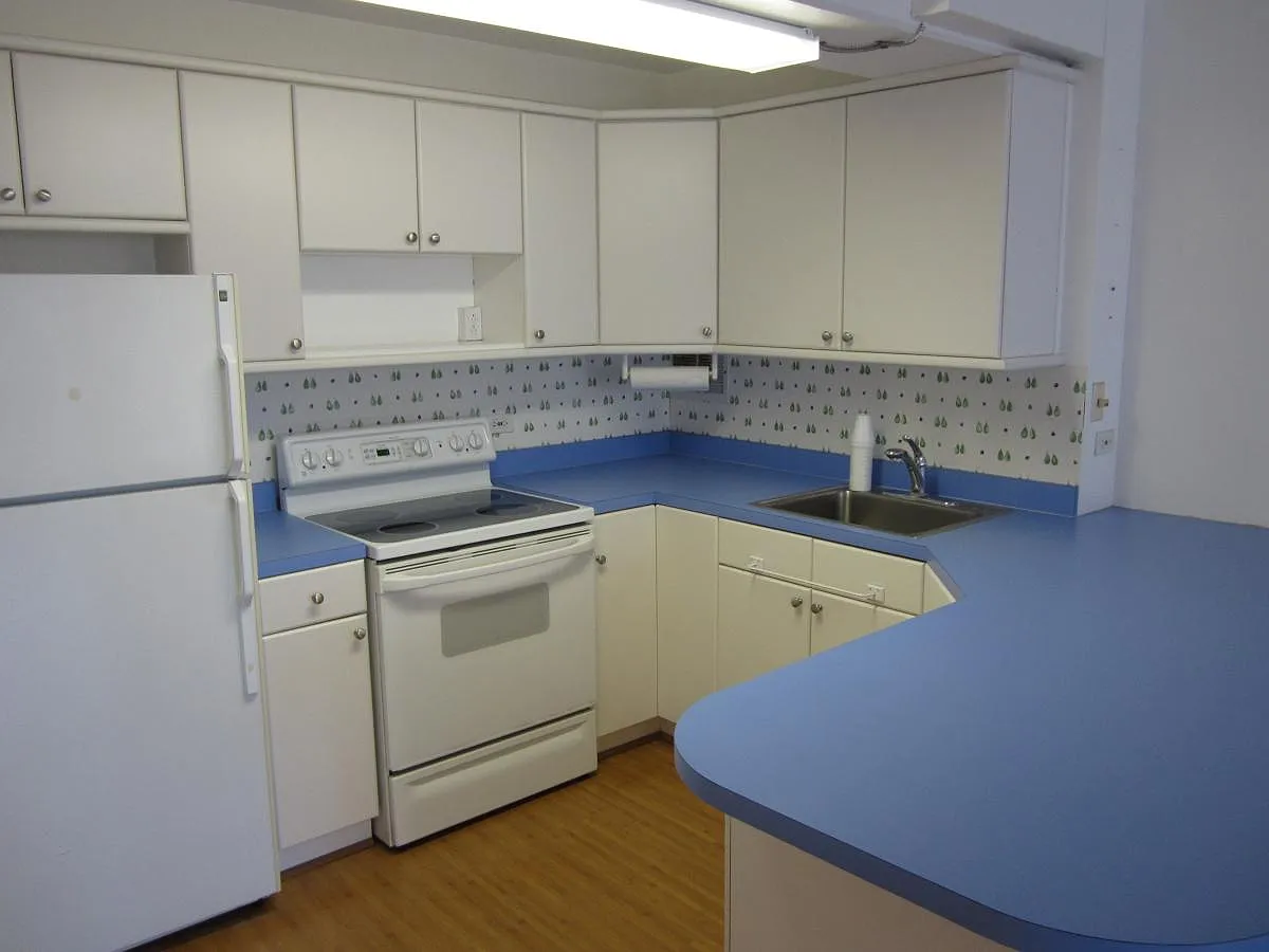 1 bed, 534 sqft, $2,100 — Photo 2