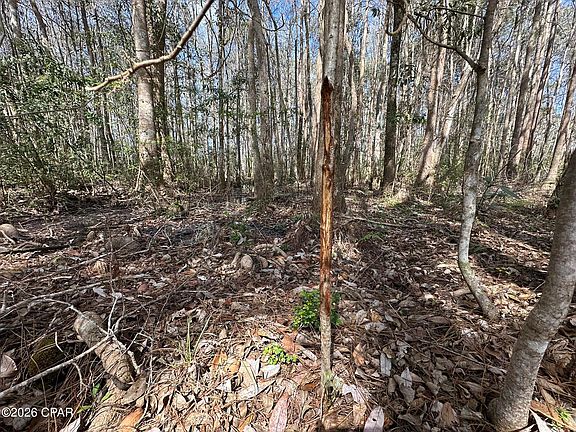 4th image of TRACT 6409 Davis Rd