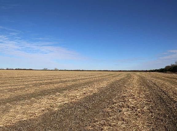 4th image of 4085 Farm Road 196 S