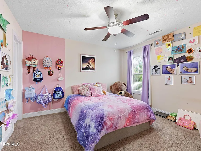 317 Little Egret Ln — Photo 30