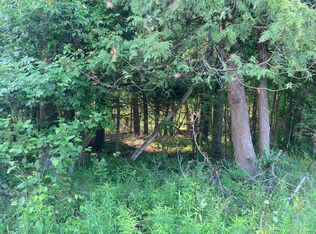 V/l E Washington, Branch, MI 49402