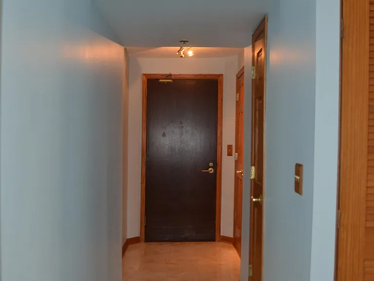 195 N Harbor Dr #4501 — Photo 20