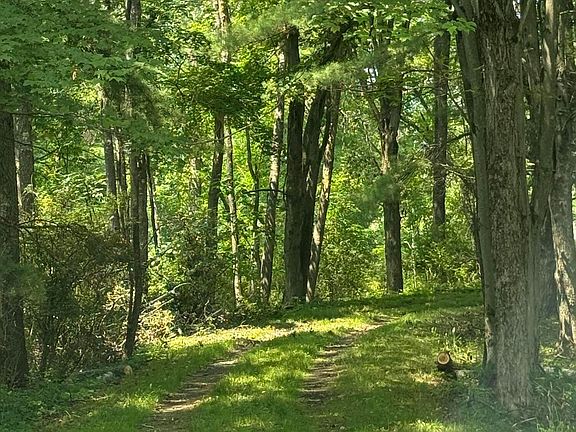 5th image of 169 Kilmer Rd