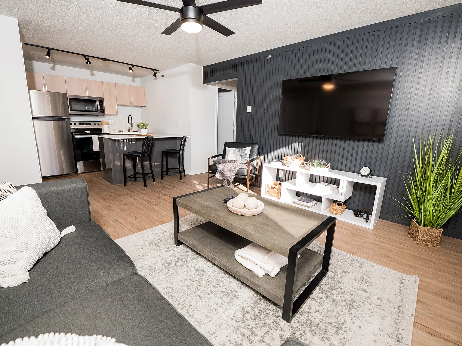 2 bed, 690 sqft, $1,550 — Photo 4