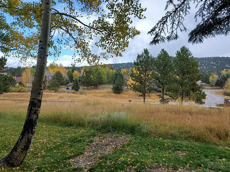 Back View in the Fall