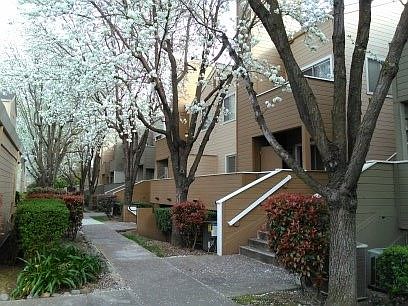 Unit 1st Floor