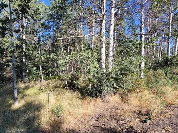 LOT 22 Brittany Ct, Chiloquin, OR 97624
