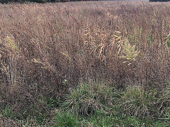4th image of 0 County Road 54