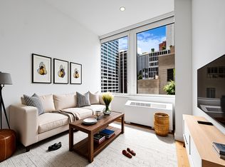 160 Water St #5G, New York, NY 10038