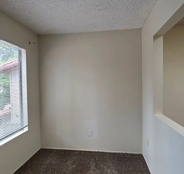 4147 Pinewood Lake Dr — Photo 15