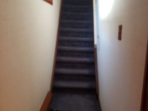2nd image of 525 Jauncey Ave #2