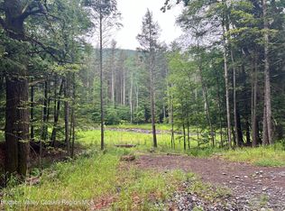 Tbd Silver Hollow Rd, Chichester, NY 12416