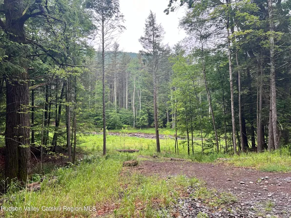 Tbd Silver Hollow Road, Chichester, NY 12416