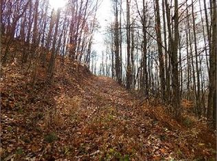 3377 Wolf Creek Rd, Sutton, WV 26601