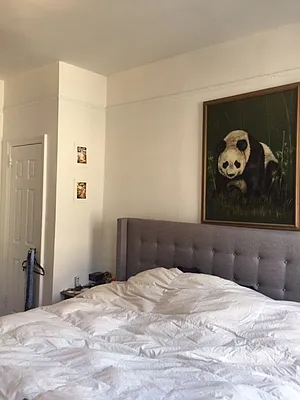 Rented by Westminster Management | media 26