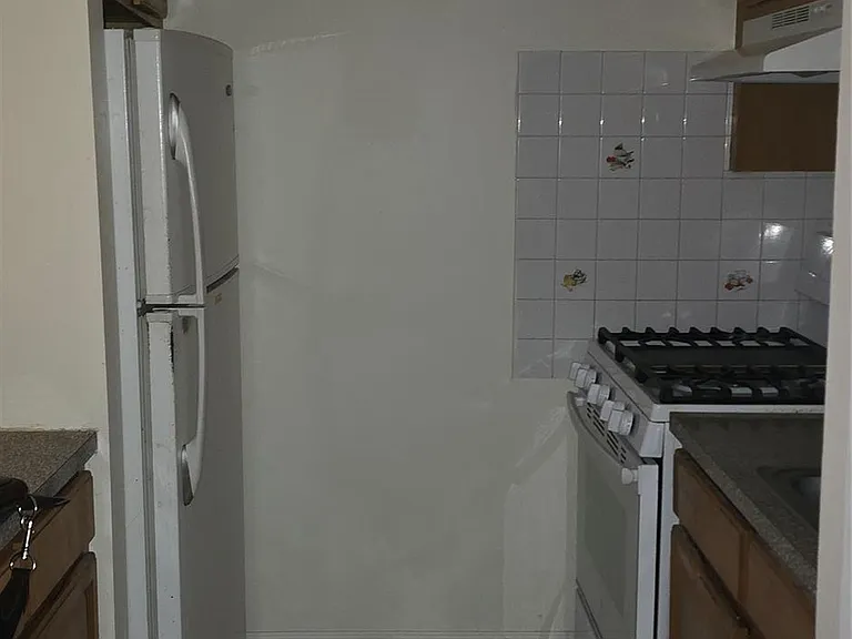 51 Sutter Ave #2 — Photo 5