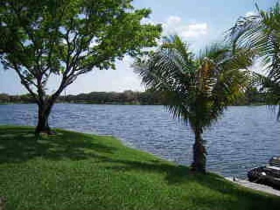 View from back patio