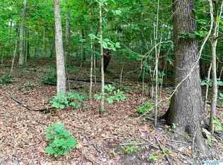 Shady Lane Dr NE, Fort Payne, AL 35967