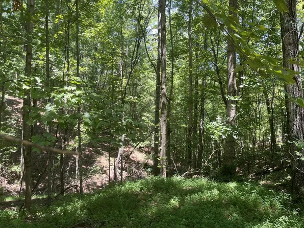 0 S Twin Oaks Dr, Ellijay, GA 30540