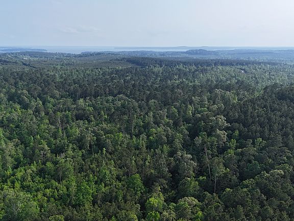 2nd image of 351 Turtle Beach Rd