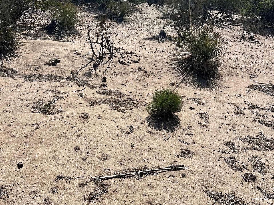 2nd image of 1207 Skyline Dr