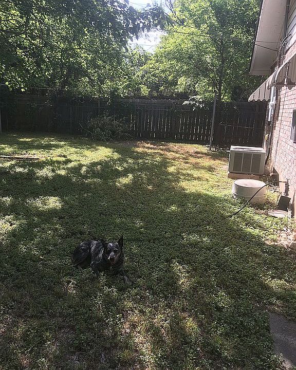 1st image of 1129 Hancock Dr