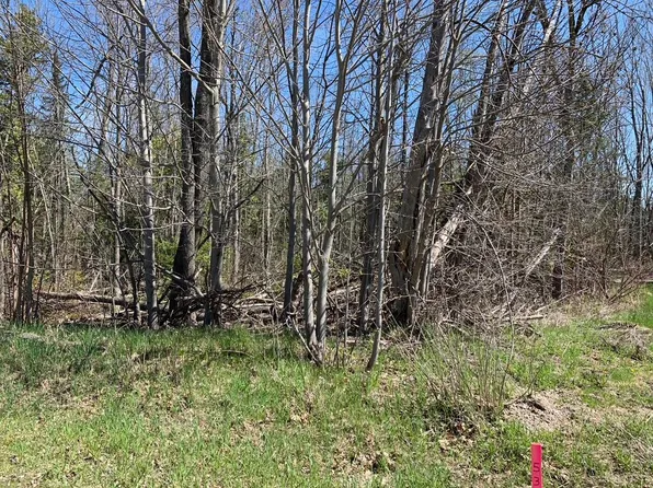 LOT 38 E Houghton Lake Dr, Houghton Lake, MI 48629