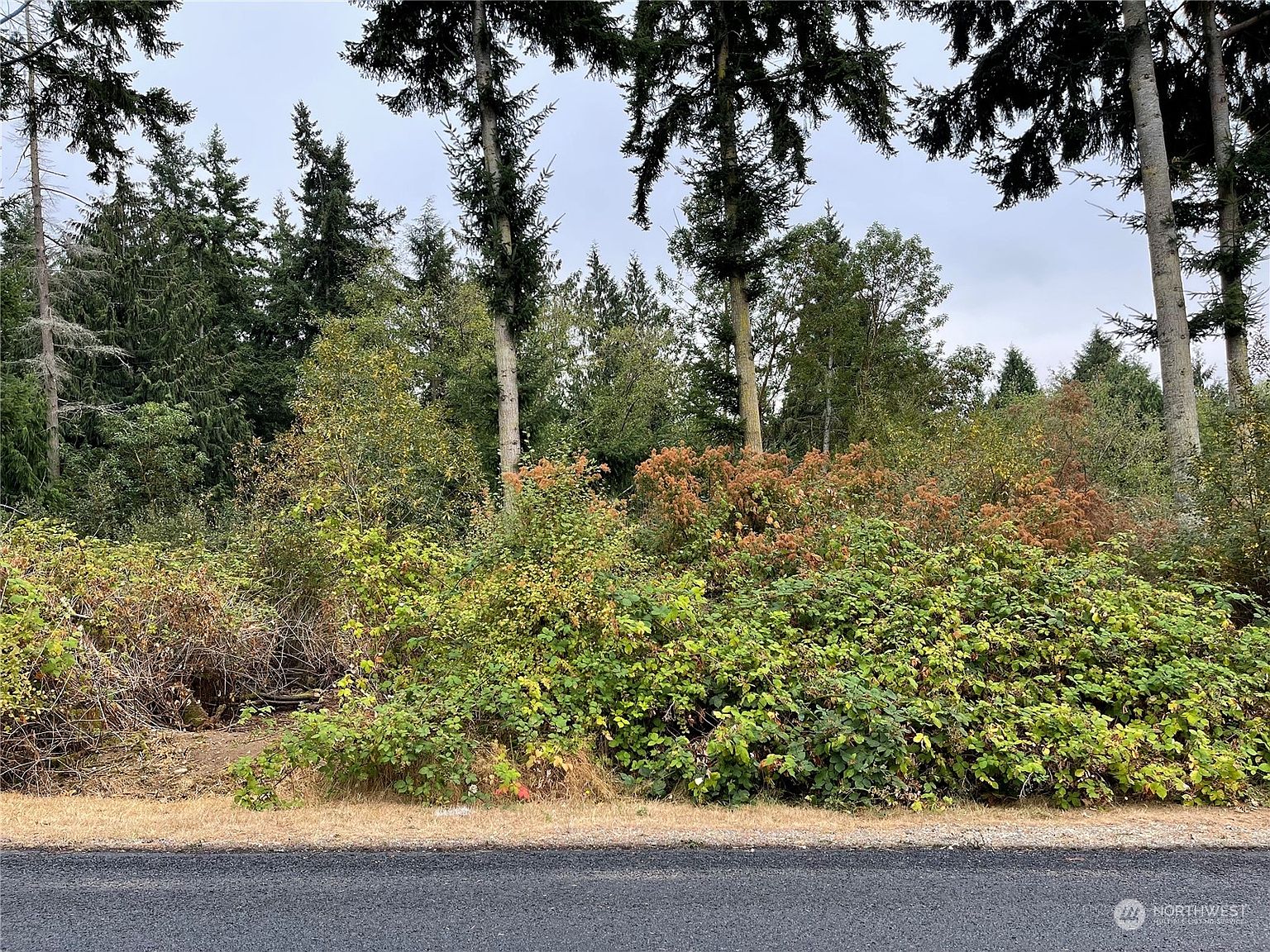 0 Manor Way, Freeland, WA 98249 MLS 2155877 Zillow