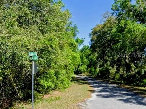 Sequoia Dr Lot 5, Ocklawaha, FL 32179