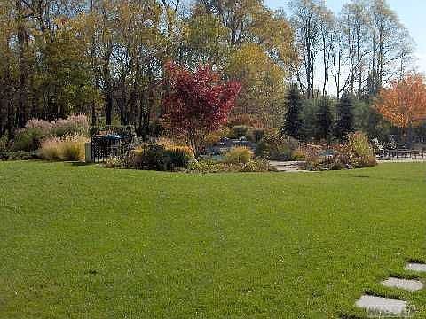 Country Club Backyard