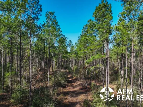 15876 Farm To Market Rd #227, Grapeland, TX 75844