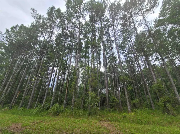 LOT 87 SW Oregon Trl Unit 0, Greenville, FL 32331
