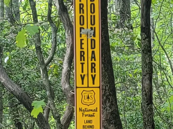 0 Gamecock, Clayton, GA 30525