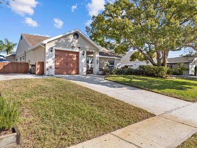 807 Cavemill Way, Tarpon Springs, FL, 34689