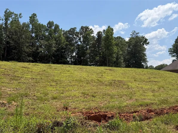0 Springwood Dr, Greenville, AL 36037
