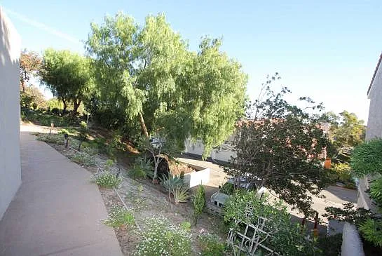 28310 Rey De Copas Ln — Photo 20