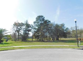 13314 Newcastle Ave, Spring Hill, FL 34609