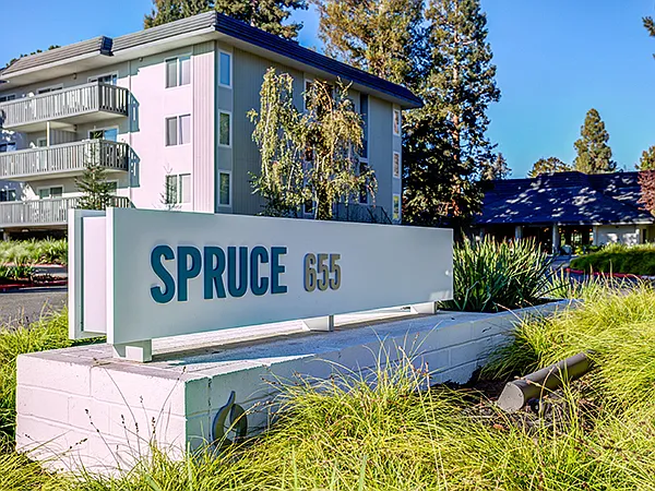 Spruce — Photo 21