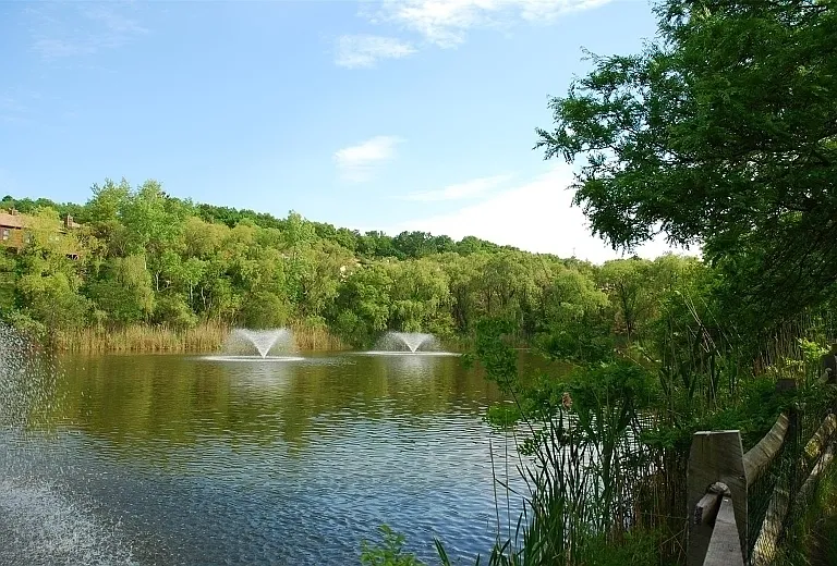 77 Wood Duck Ct — Photo 14