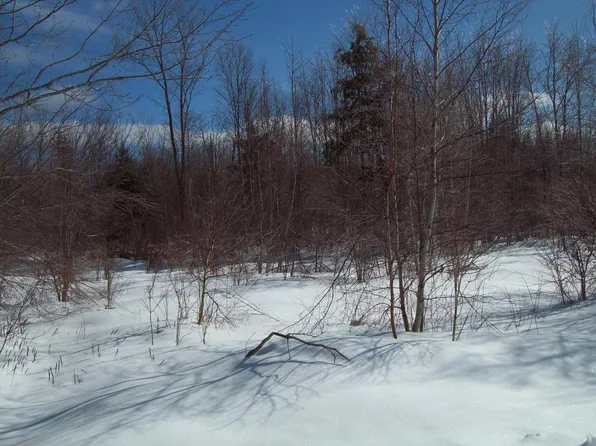 tbd Rosewood Drive, Prentiss Twp T7 R3 NBPP, ME 04487