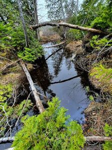 Lot 6 Morrison Brook Acres, Oakfield, ME, 04763