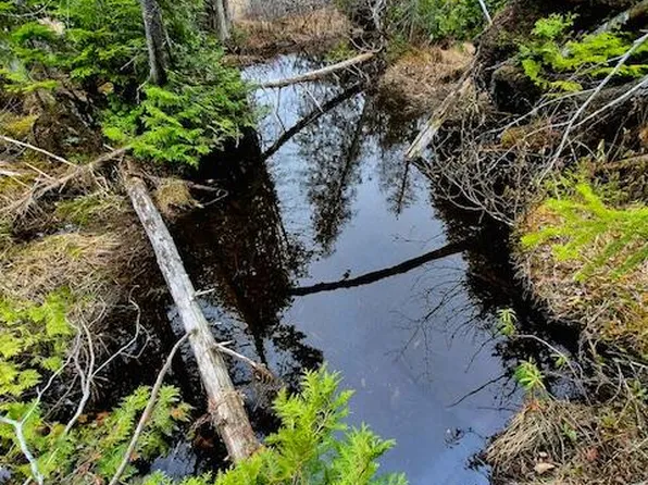 Lot 6 Morrison Brook Acres, Oakfield, ME 04763