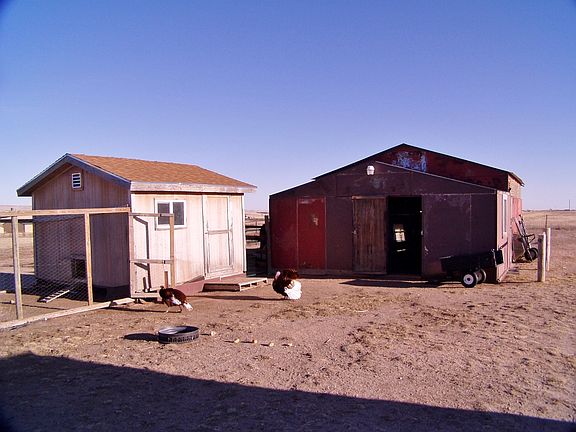 Barn and Chicken Coop
