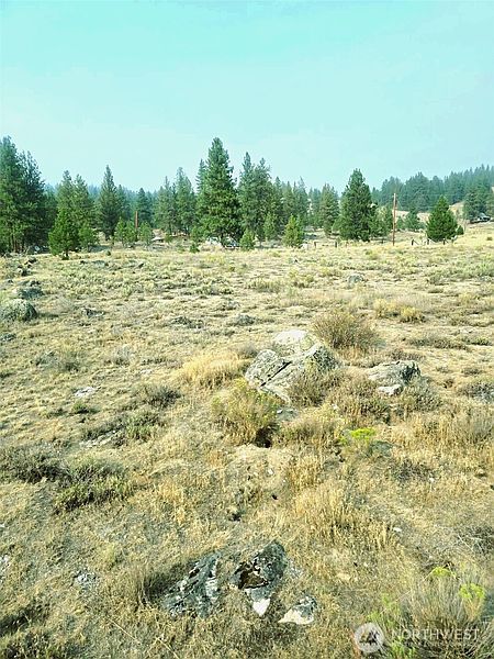 2nd image of 41 TBD Main Rd