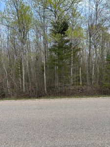 13378 N Mackinaw Hwy, Mackinaw City, MI, 49701